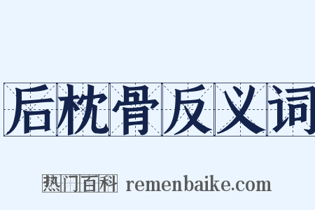 后枕骨反义词是什么意思的图片